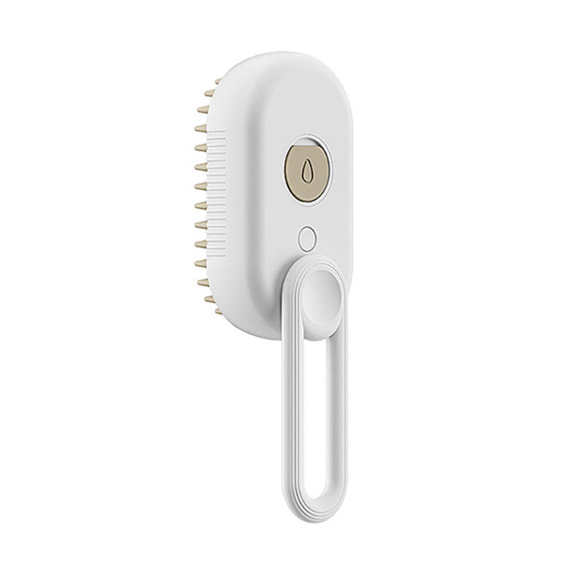 Electric Spray Hair Brushes For Massage Pet Grooming