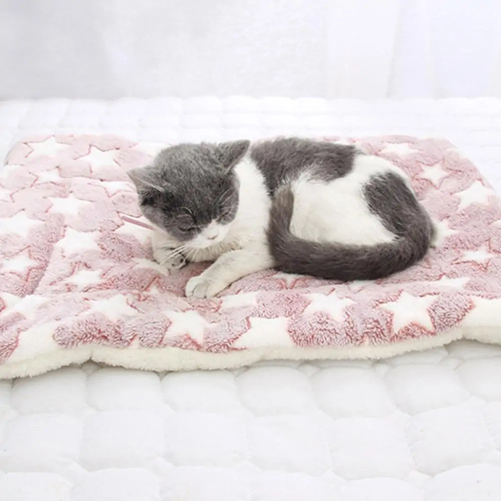 Pet Bed For Cat Dog