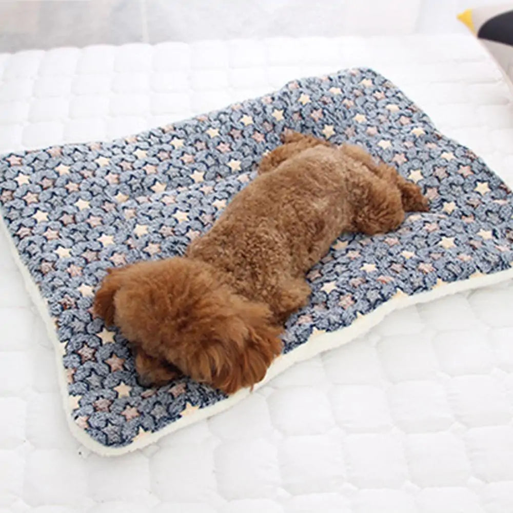 Pet Bed For Cat Dog