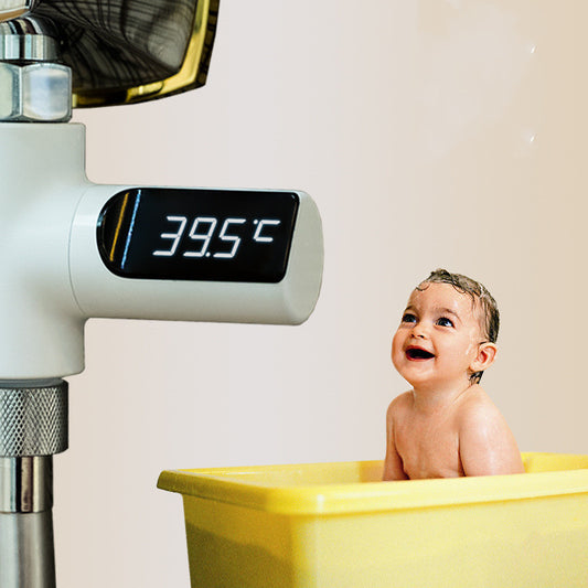 Electronic Faucet